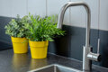 BeeSmartRent Sp. z o.o. - 46
